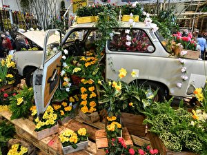 Grune woche 2