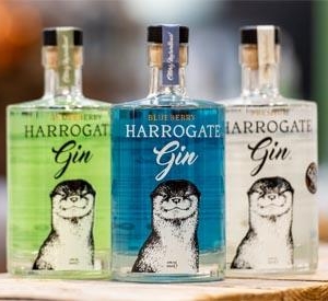Harrogate_resize_2