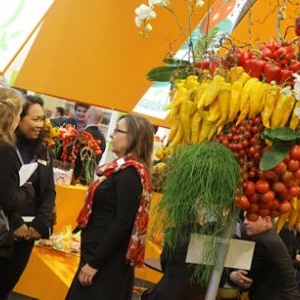 fruit logistica 1