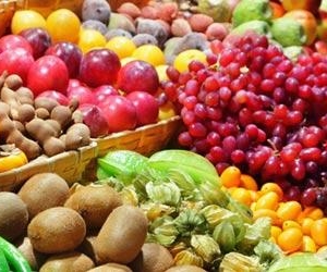 alimentaria 2