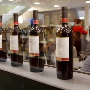 vin2